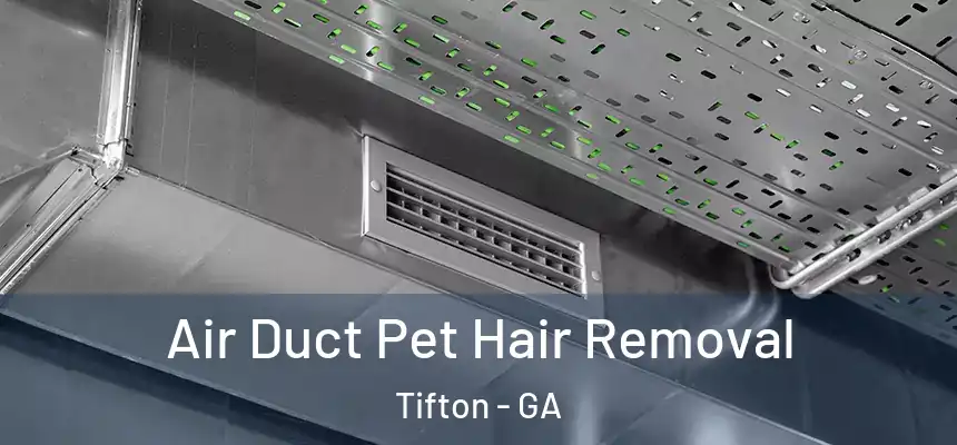 Air Duct Pet Hair Removal Tifton - GA