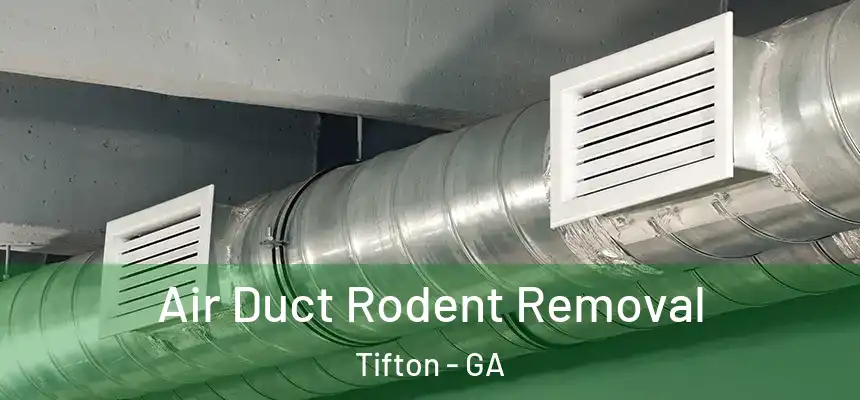 Air Duct Rodent Removal Tifton - GA