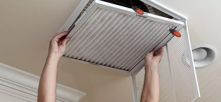 Preventive Cockroach-Proofing for Ducts in Tifton