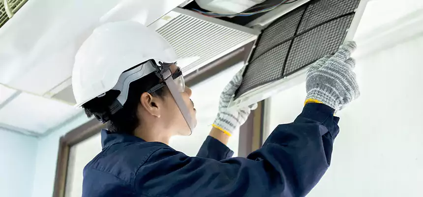 Our Mold & Mildew Removal from Air Ducts Services in Tifton, GA