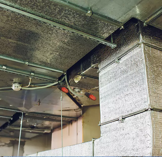 Why Homeowners & Businesses Trust Us in Tifton, GA?